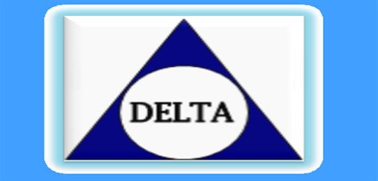 DELTA PIPES AND TUBE TRADING LLC