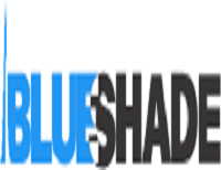 BLUE SHADE TECHNICAL SERVICES LLC