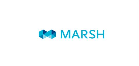 MARSH EMIRATES INSURANCE BROKERAGE AND CONSULTANCY LLC