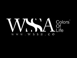 COLORS OF LIFE WEDDING SERVICES LLC WSSA CO