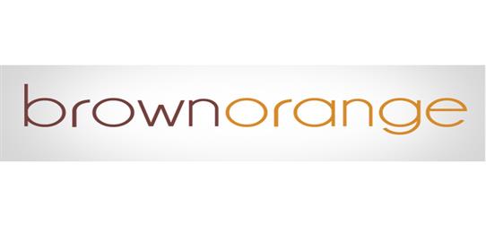 BROWN ORANGE SOLUTIONS LLC