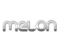 MELON FZ LLC