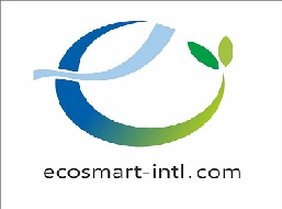 ECO SMART INTERNATIONAL LLC